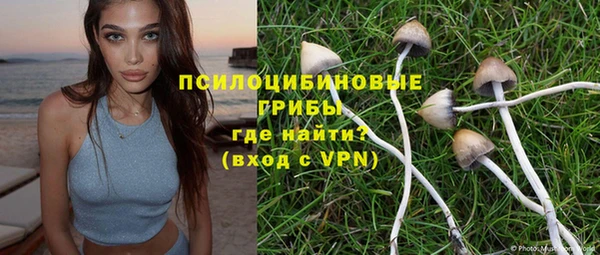 молекула духа Касимов