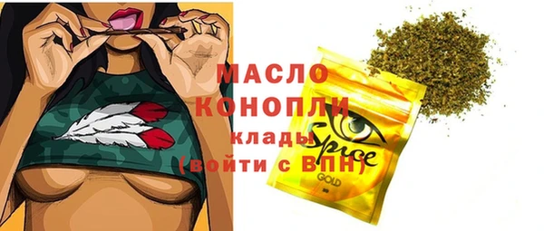 молекула духа Касимов