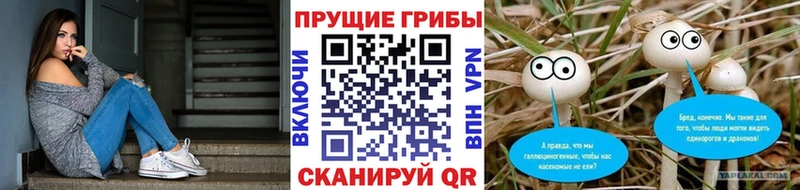 Купить где  Городовиковск  Галлюциногенные грибы MAGIC MUSHROOMS 